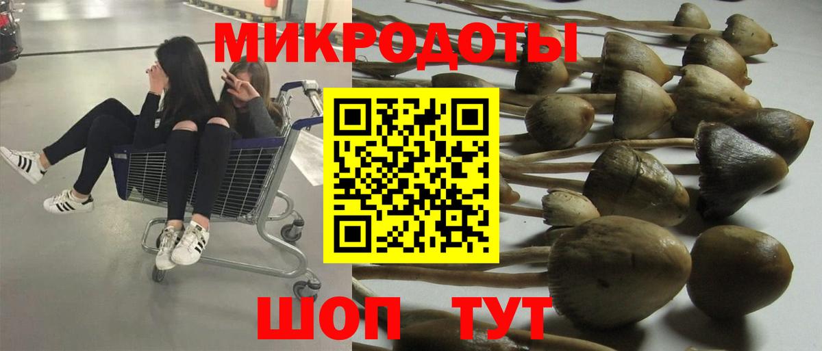 Галлюциногенные грибы Psilocybine cubensis Магадан